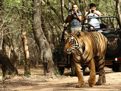 Khajuraho with North India Tiger Safari Tour